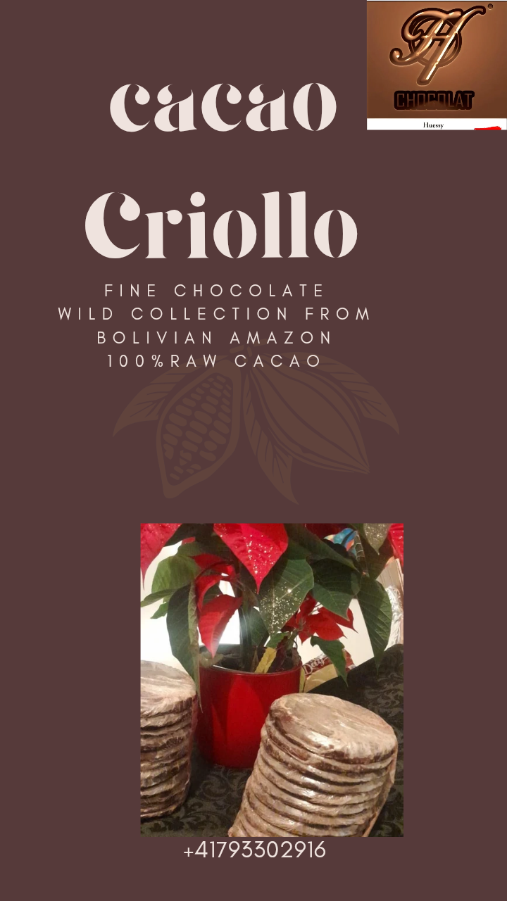 Chocolate Raw Cacao paste 100%
