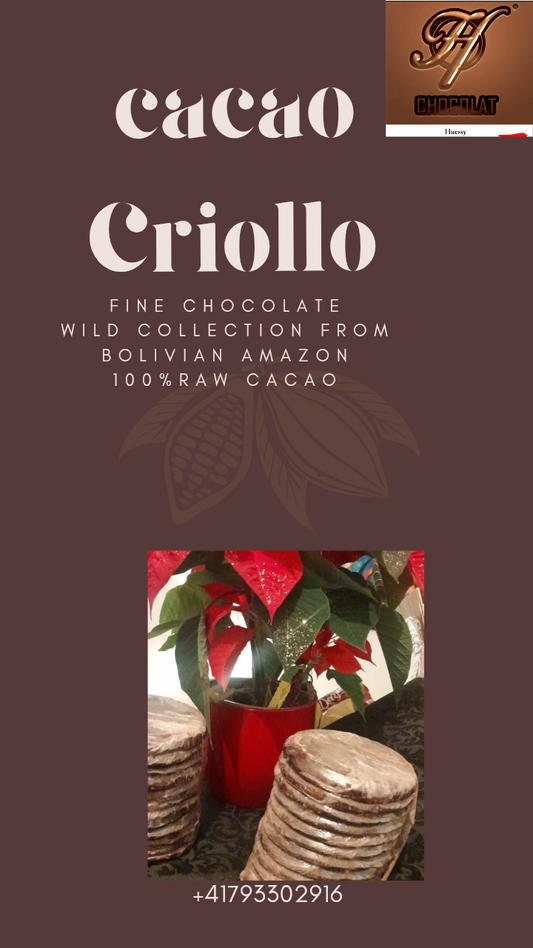 Chocolate Raw Cacao paste 100%
